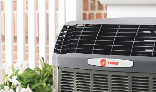 Winter Giveaway 2025